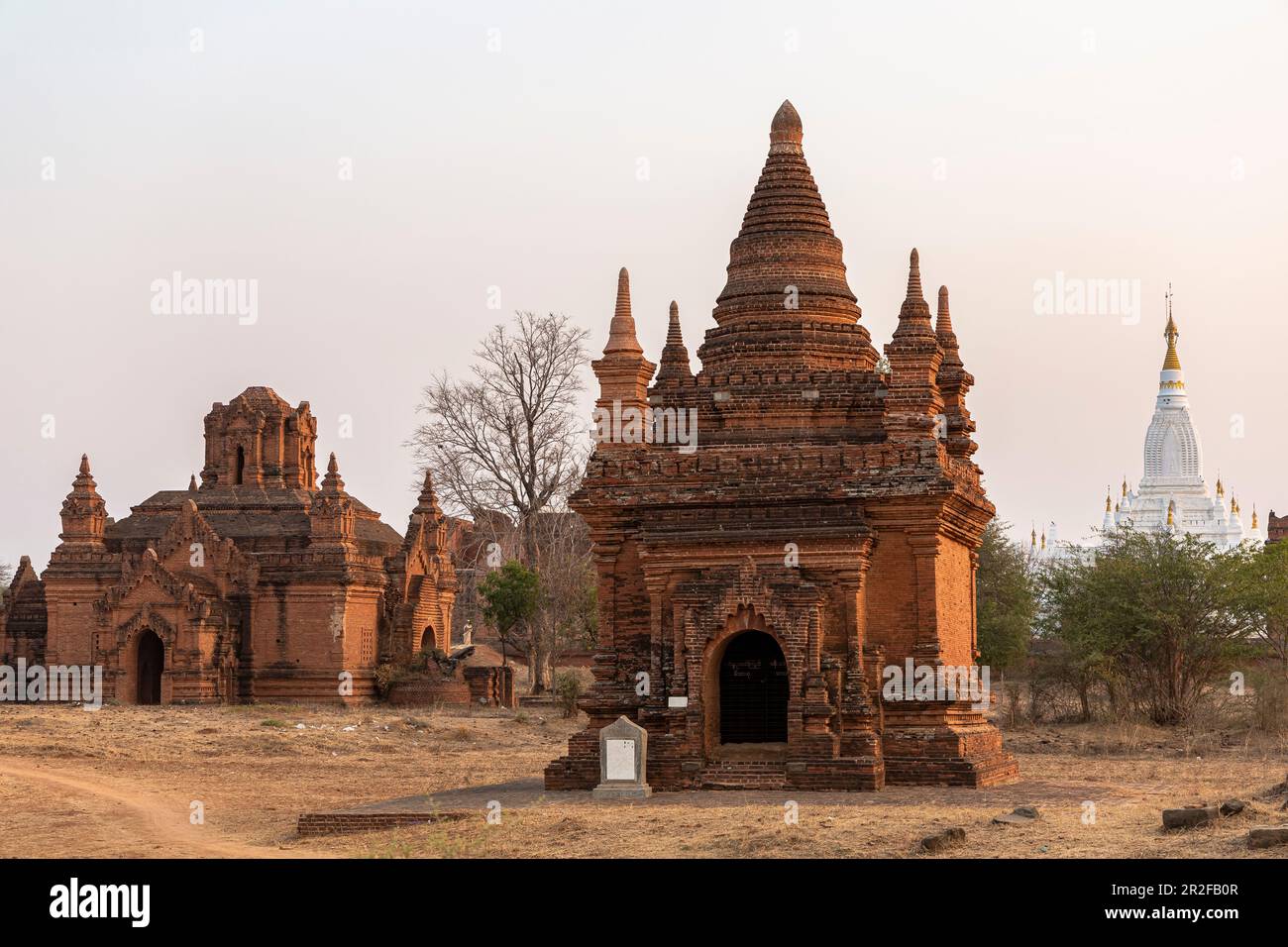 Pagoda field in the evening light in Minnanthu village, Bagan, Myanmar Stock Photo