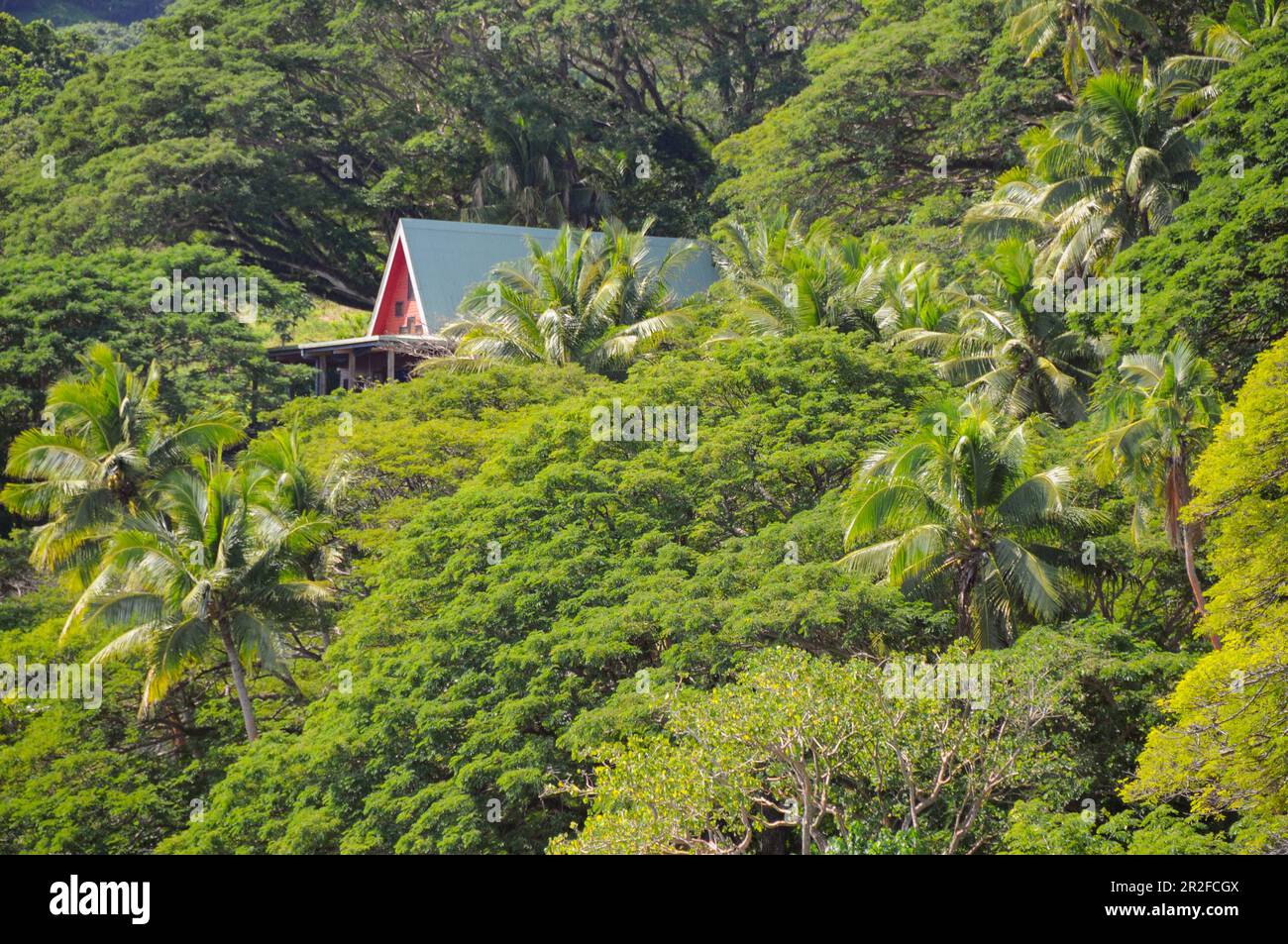 Dream villa in the hills, surrounded by lush vegetation, Savusavu, Fiji ISlands Stock Photo