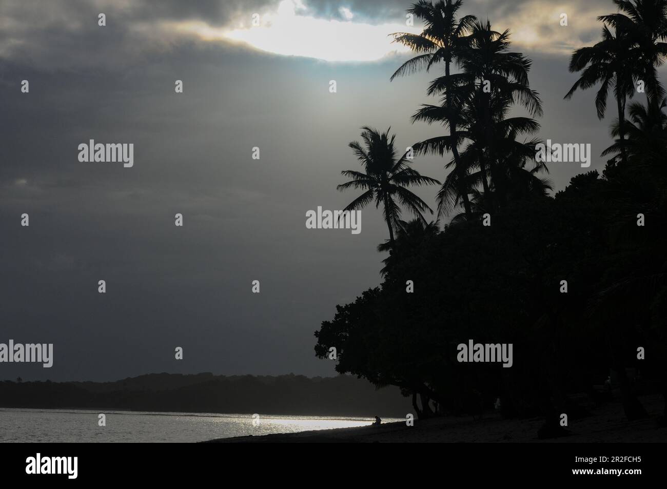 View of palm trees and the Pacific before the tropical rain with dramatic light, Savusavu, Fiji Stock Photo