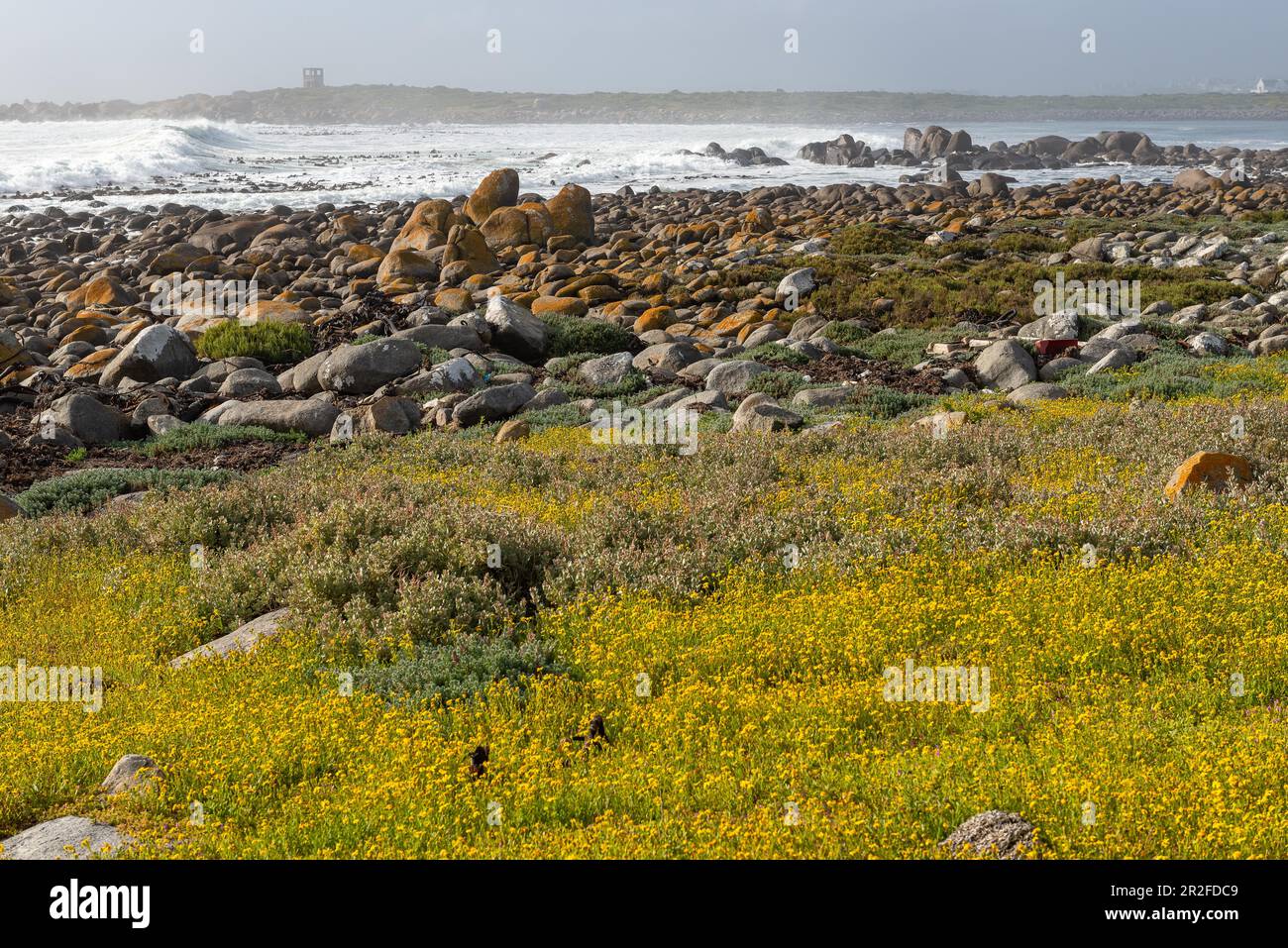 Mauritzbaai, Jacobsbaai, Western Cape, South Africa Stock Photo Alamy