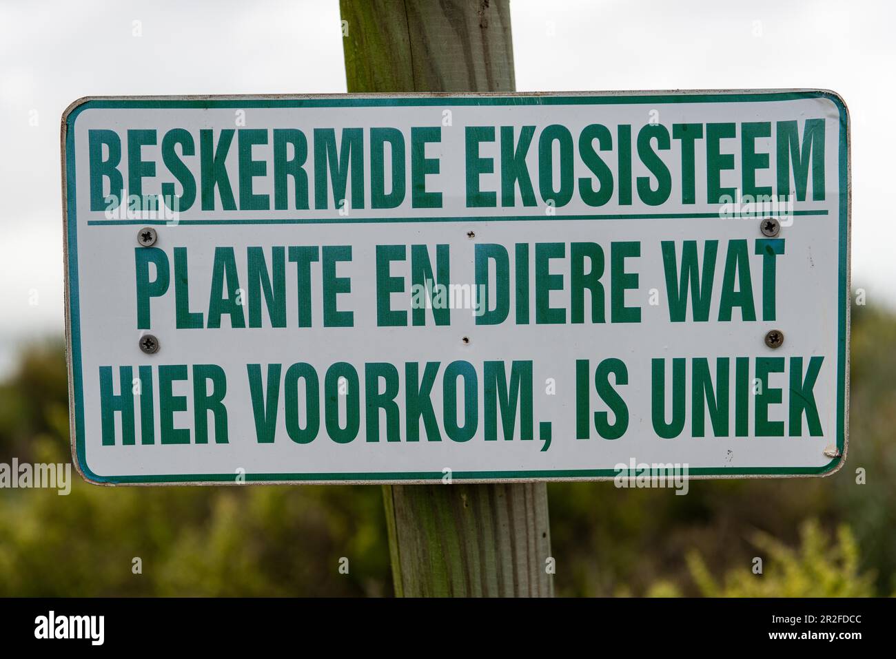 Reference to a protected ecosystem with unique flora and fauna, Mauritzbaai, Jacobsbaai, Western Cape, South Africa Stock Photo