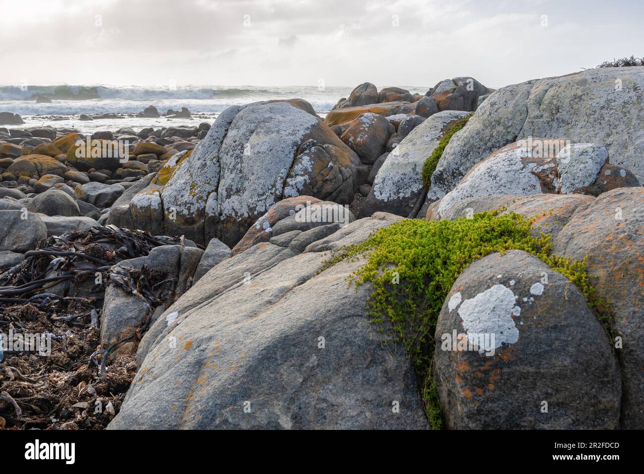 Mauritzbaai, Jacobsbaai, Western Cape, South Africa Stock Photo Alamy