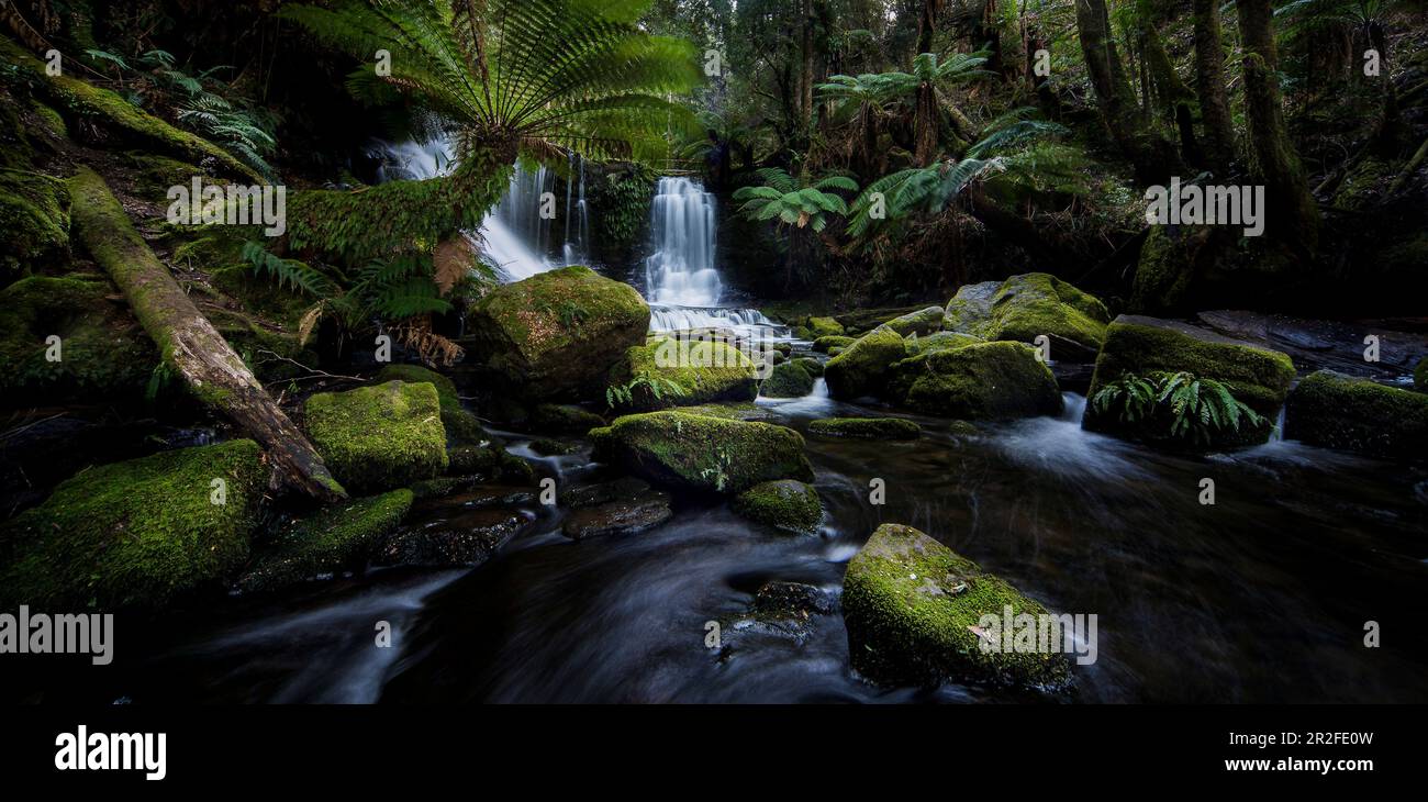 Mt field national park hi-res stock photography and images - Alamy
