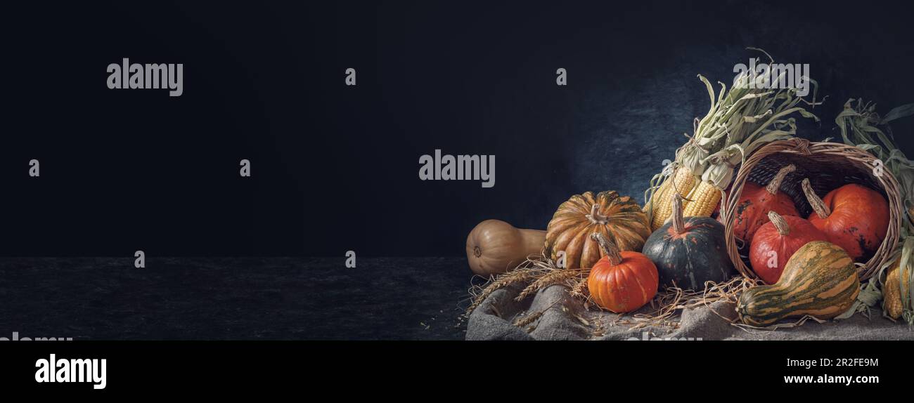 Autumn still life with pumpkin fruits of different colors and sizes and ...