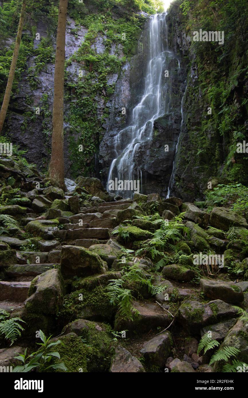 Landscape shot of the Burgbach waterfall, in a long exposure. A beautiful forest near Bad Rippoldsau-Schapbach in the Black Forest, Baden-Wuerttemberg Stock Photo