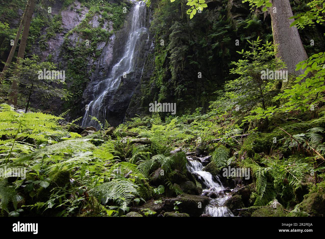 Landscape shot of the Burgbach waterfall, in a long exposure. A beautiful forest near Bad Rippoldsau-Schapbach in the Black Forest, Baden-Wuerttemberg Stock Photo