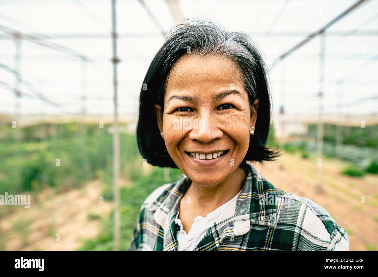 Happy southeast Asian woman smiling at the camera while working inside agricultural greenhouse - Farm people lifestyle concept Stock Photo