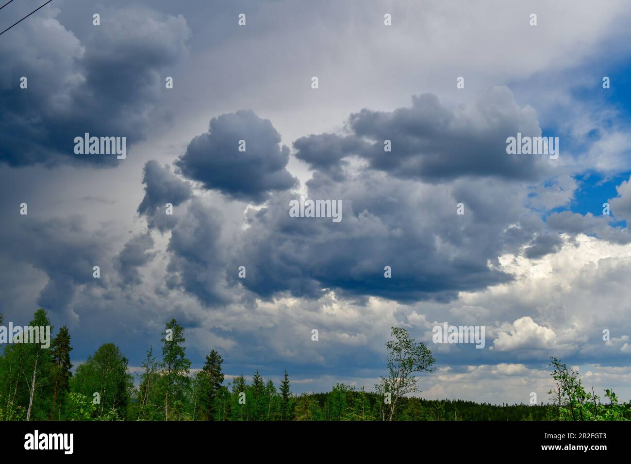 Dark clouds over a forest hi-res stock photography and images - Alamy