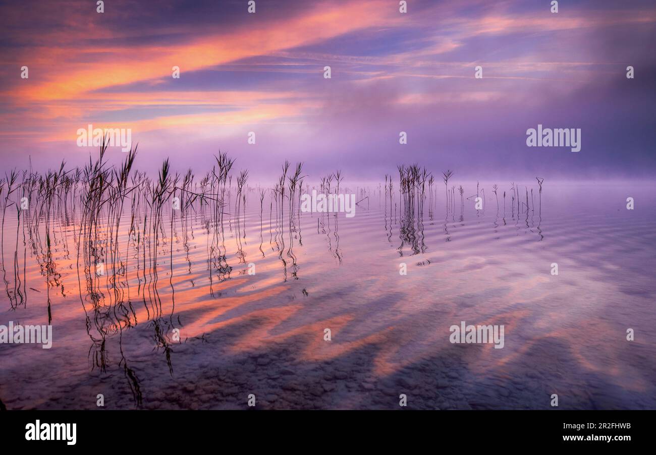 Still water reflecting clouds hi-res stock photography and images - Alamy