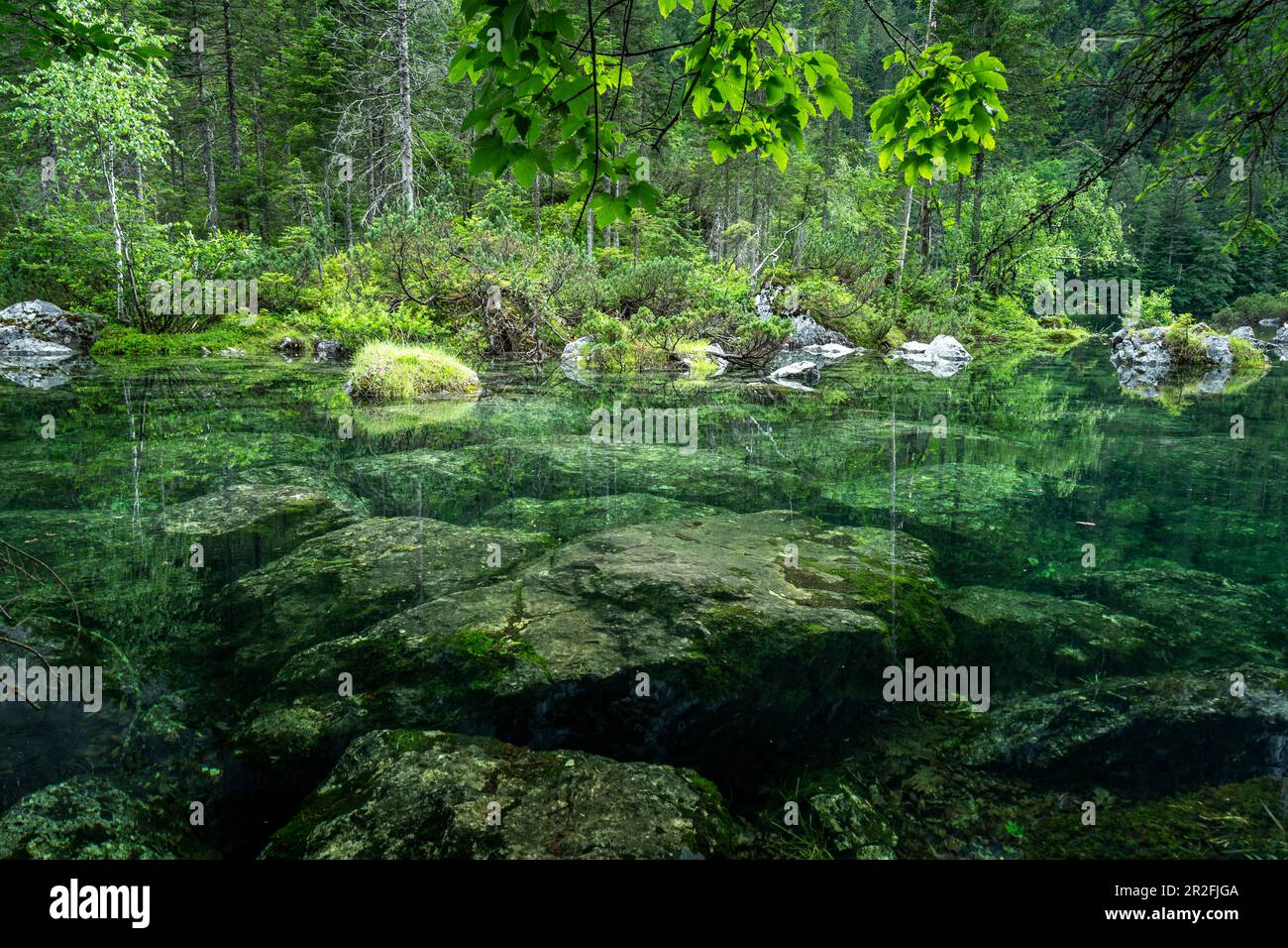 Idyllic location of the Gosaulacke, Middle Lake of the Gosauseen Stock