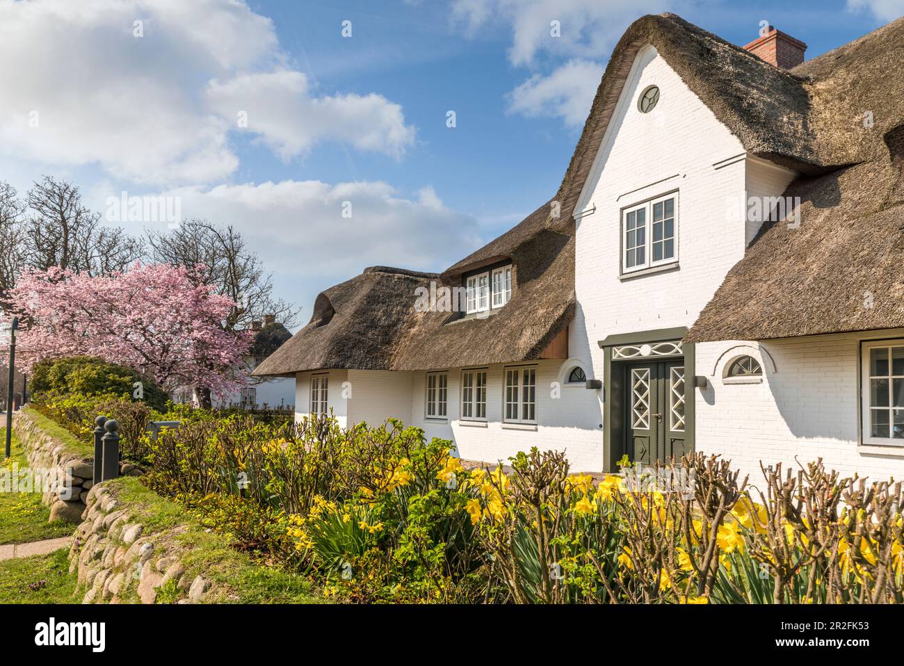 Thatched-roof houses with Friesenwall in Keitum, Sylt, Schleswig-Holstein, Germany Stock Photo