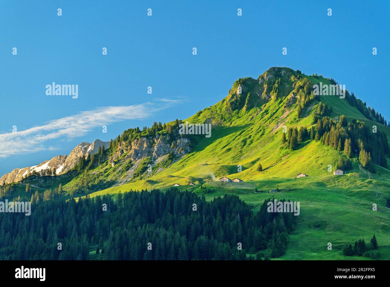 View of Alpe Unterpartnom, Großes Walsertal Biosphere Reserve, Bregenz Forest Mountains, Bregenzerwald, Vorarlberg, Austria Stock Photo