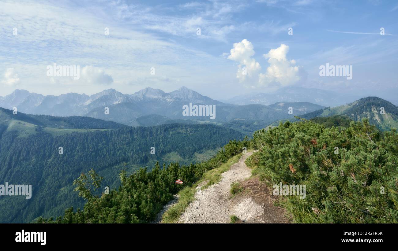 View from Wasserklotz (Reichraminger Hintergebirge) towards the Haller Mauern / Nördliche Kalkalpen, border region between Upper Austria and Styria, A Stock Photo