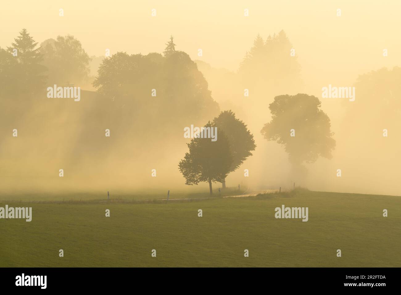 Morning mist on the Hohen Peißenberg Stock Photo