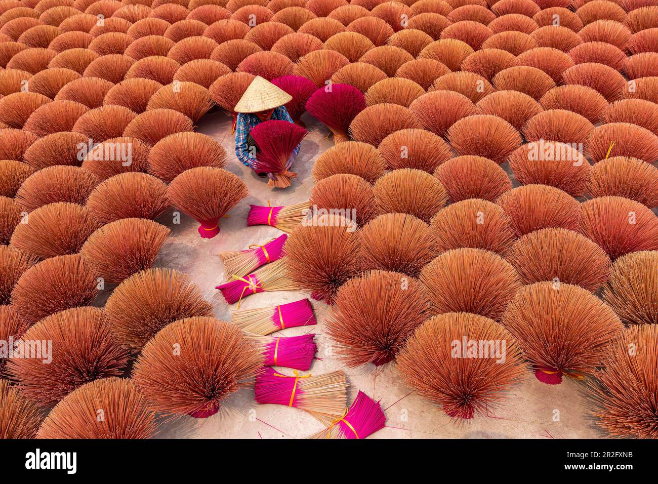 Vietnamese woman making incense sticks for the Tet festivities, the New Year celebrations, Vietnam, Asia Stock Photo
