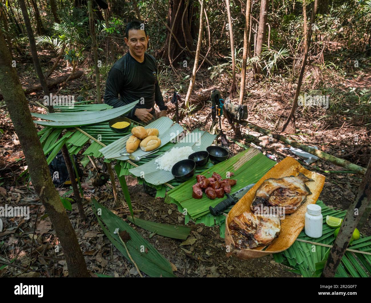Excursion to the Amazon rainforest near Manaus, Amazon Basin, Brazil