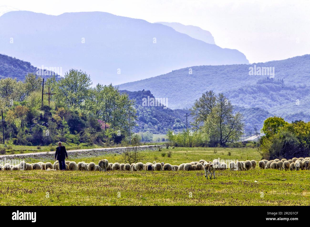 In the valley of the Vjosa, view towards the south. The high mountains are already in Greece, landscape with a flock of sheep and shepherds near Stock Photo