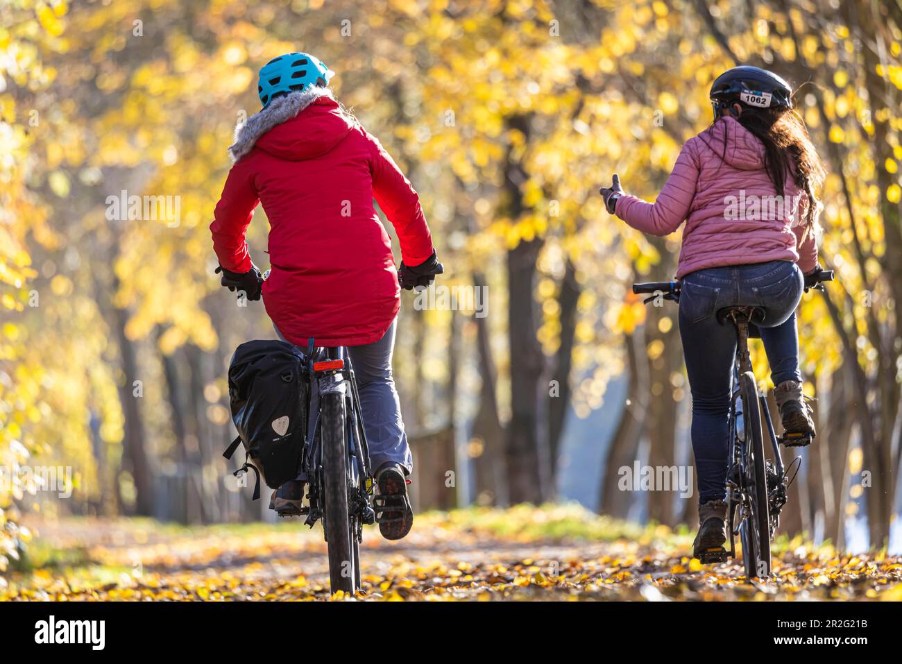 Two woman riding bicycles, late autumn in the Neckar valley, autumn ...