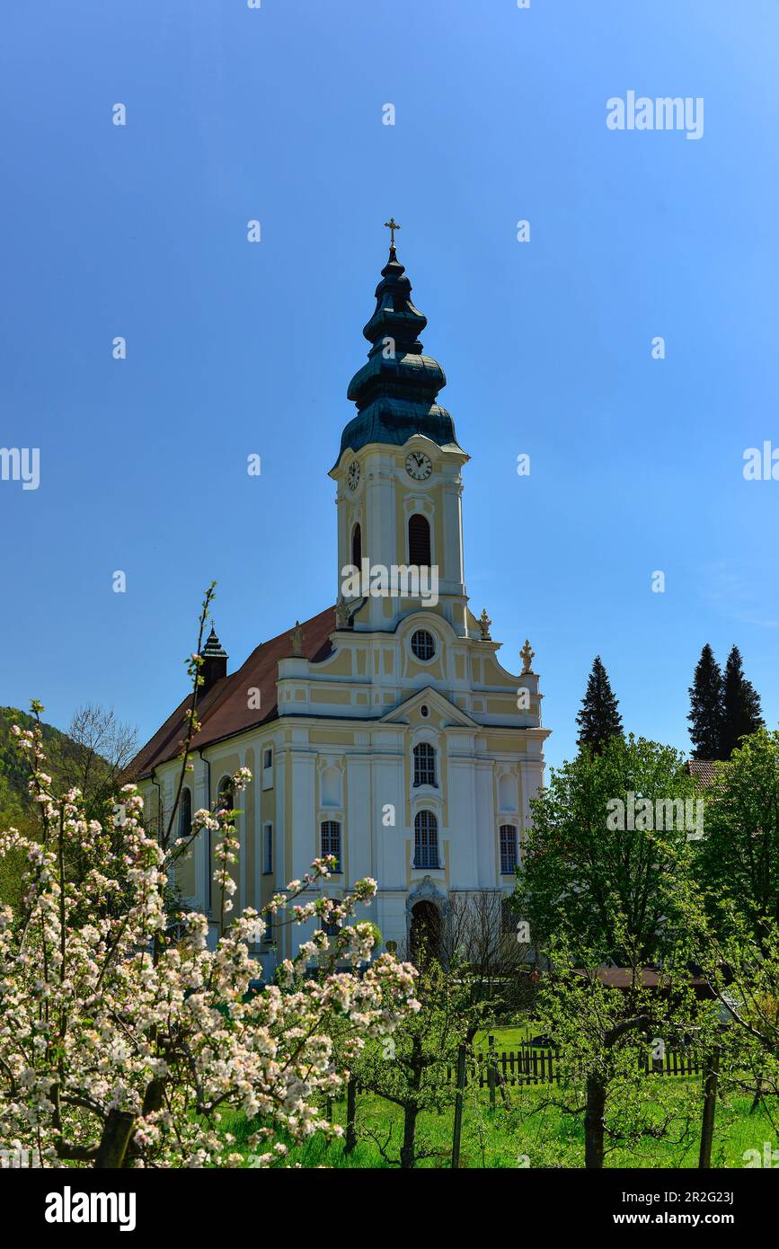 Engelszell Abbey on the Danube with blossoming trees, Engelhartszell, Austria Stock Photo