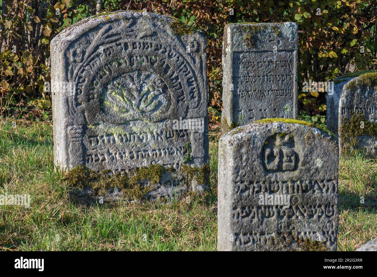 Jewish gravestones with symbols, historical Jewish cemetery, this burial place was occupied from 1737 to 1934, Hagenbach, Upper Franconia, Bavaria Stock Photo