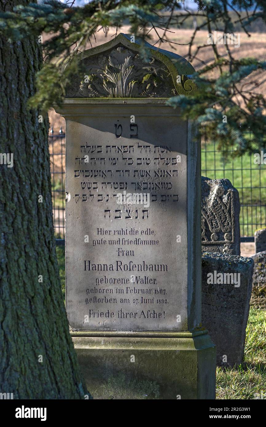 Jewish symbol on a gravestone, historic Jewish cemetery, this burial place was occupied from 1737 to 1934, Hagenbach, Upper Franconia, Bavaria Stock Photo
