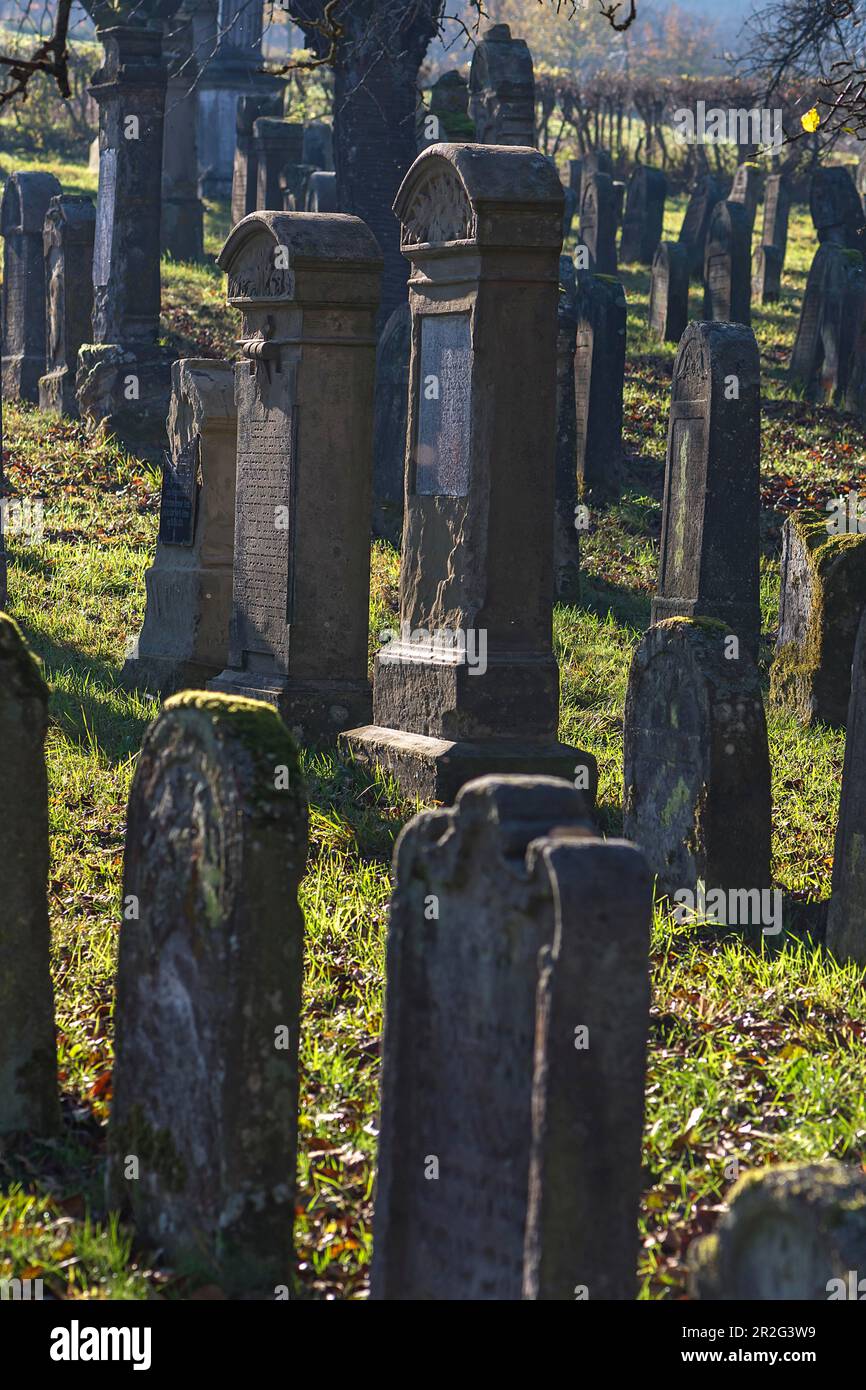 Historic Jewish cemetery, this burial place was occupied from 1737 to 1934, Hagenbach, Upper Franconia, Bavaria, Germany Stock Photo