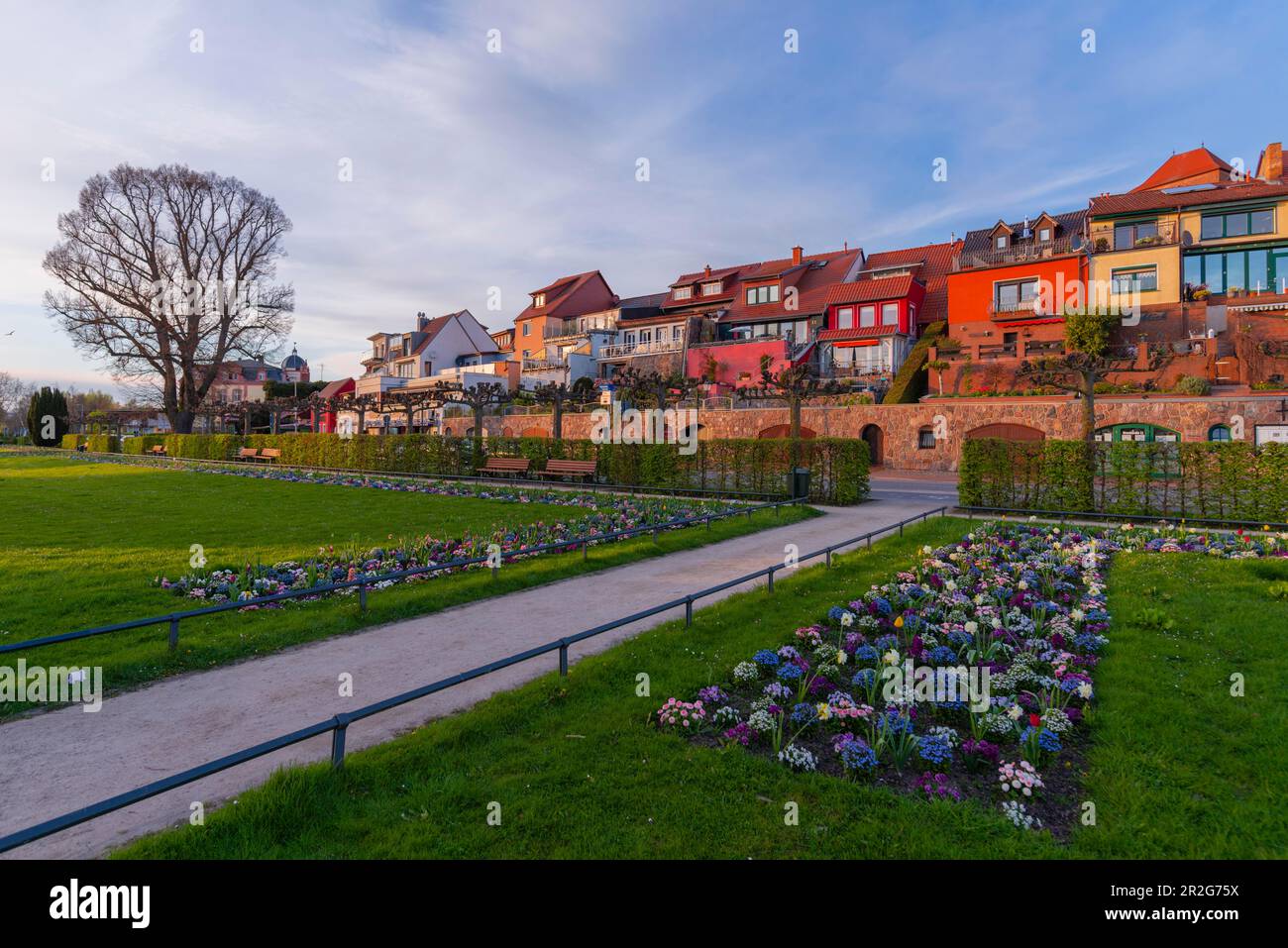 Small town Waren, Mueritz, promenade at the Binnenmueritz, flower beds, blossom, lawn, building, evening light, holiday region, spring, sunshine Stock Photo