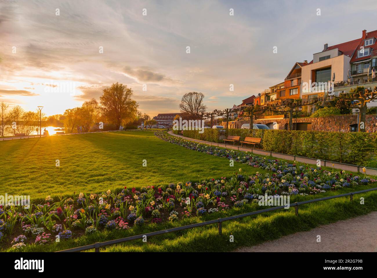 Small town Waren, Mueritz, promenade at the Binnenmueritz, flowerbeds, blossom, lawn, building, evening light, evening sun, backlight, holiday Stock Photo