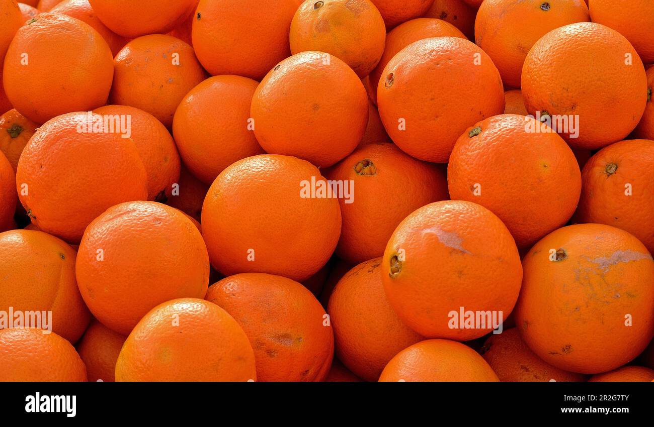 Oranges on a market of Berga, Catalonia, Spain. Stock Photo