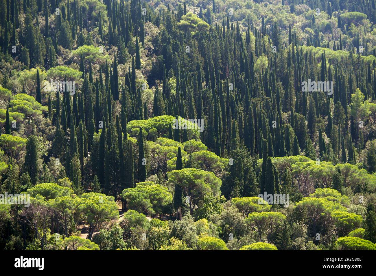 Landscape near Fiesole near Florence, Toscana, Italy Stock Photo