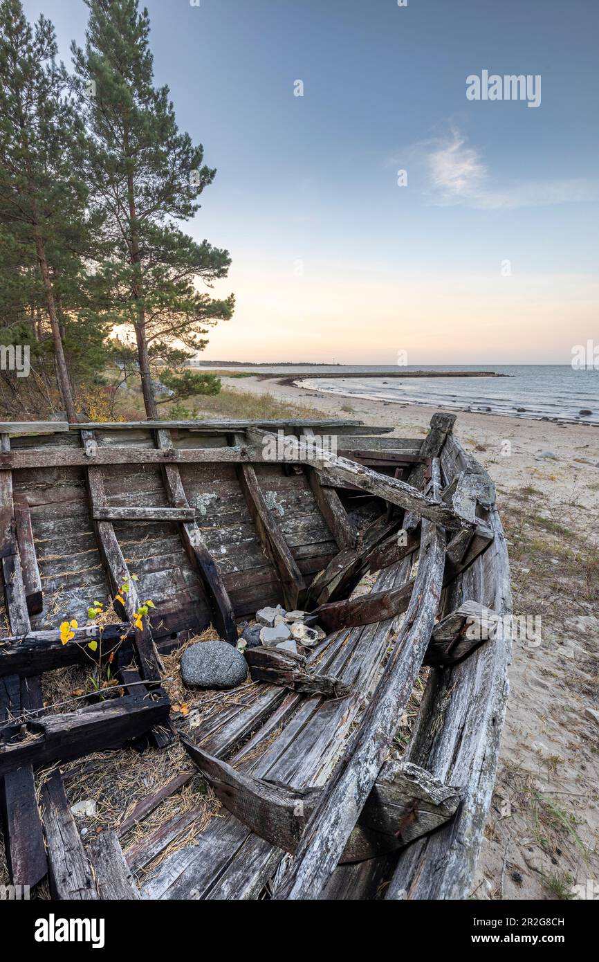 Boatwreck wood on Matsi Beach, Pärnu, Estonia. boat graveyard. Stock Photo