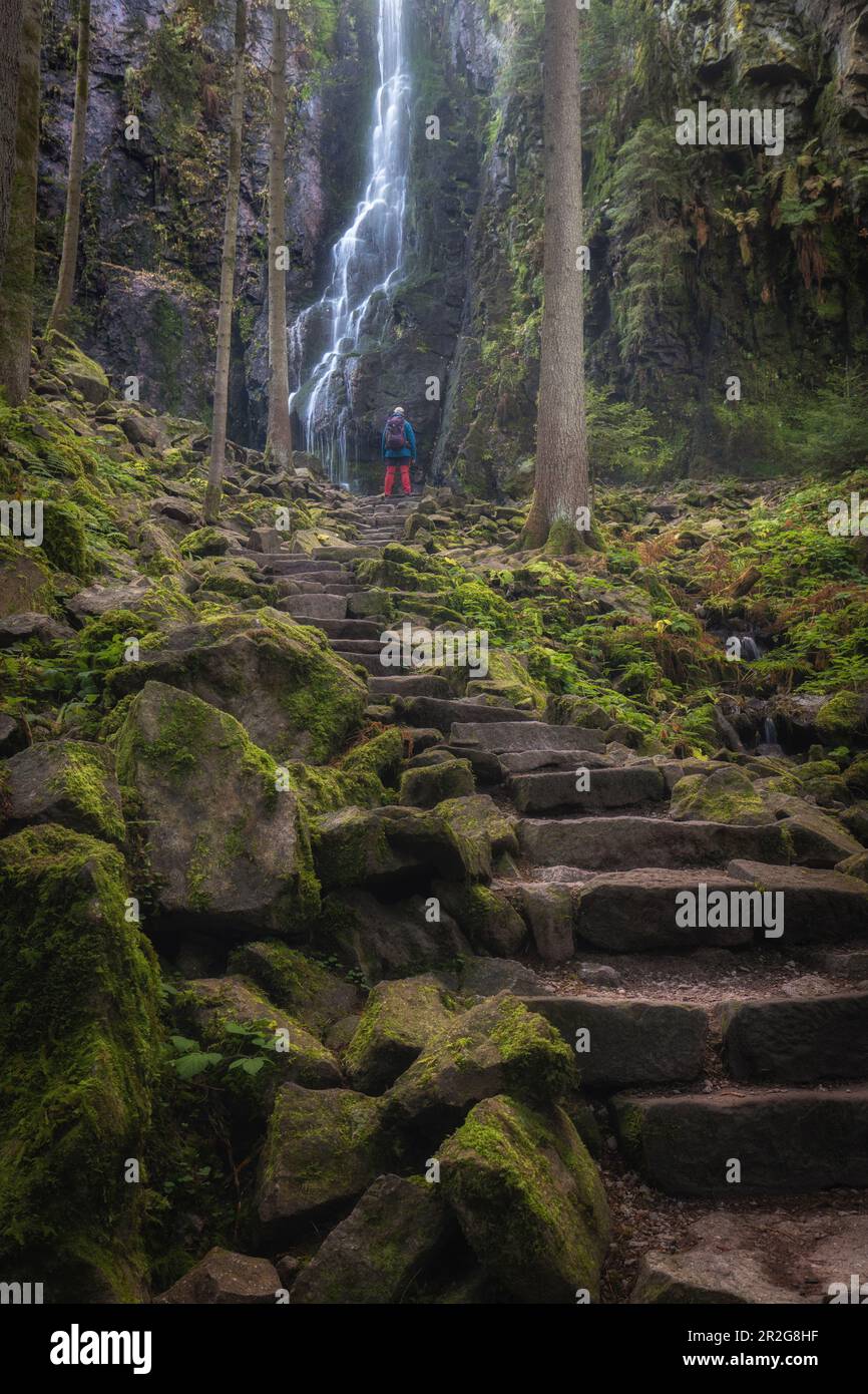 People in front of Burgbach waterfall, Bad Rippoldsau-Schapbach, Black Forest, Baden-Würtenberg, Germany. path with steps. Stock Photo