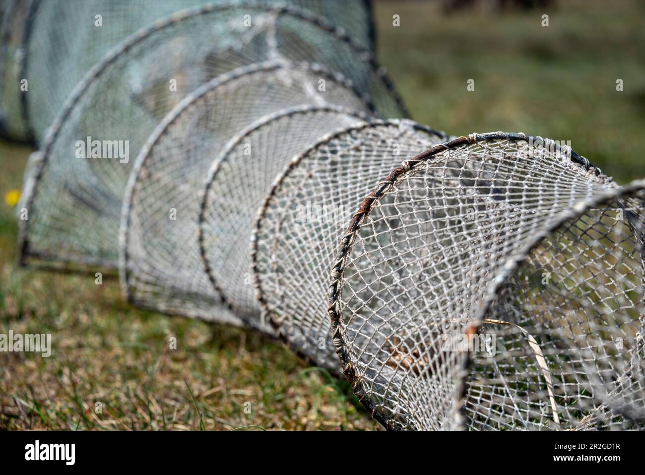 Fyke hoop net hi-res stock photography and images - Alamy