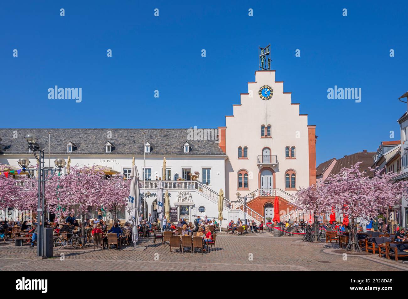 Town hall square with almond trees in bloom, Landau in der Pfalz, German Wine Route, Southern Wine Route, Rhineland-Palatinate, Germany Stock Photo