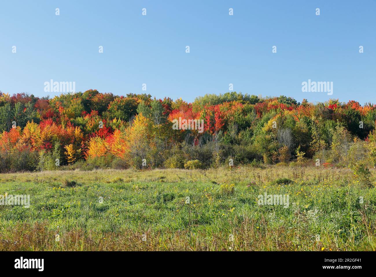 Ontario canada indian hi-res stock photography and images - Alamy