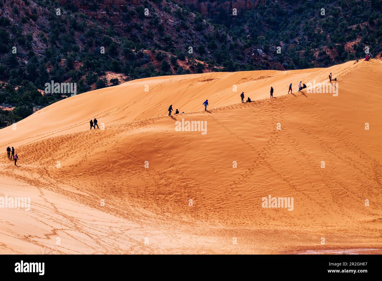 Visitors climbing and slding down on Coral Pink Sand Dunes State Park; Utah; USA Stock Photo
