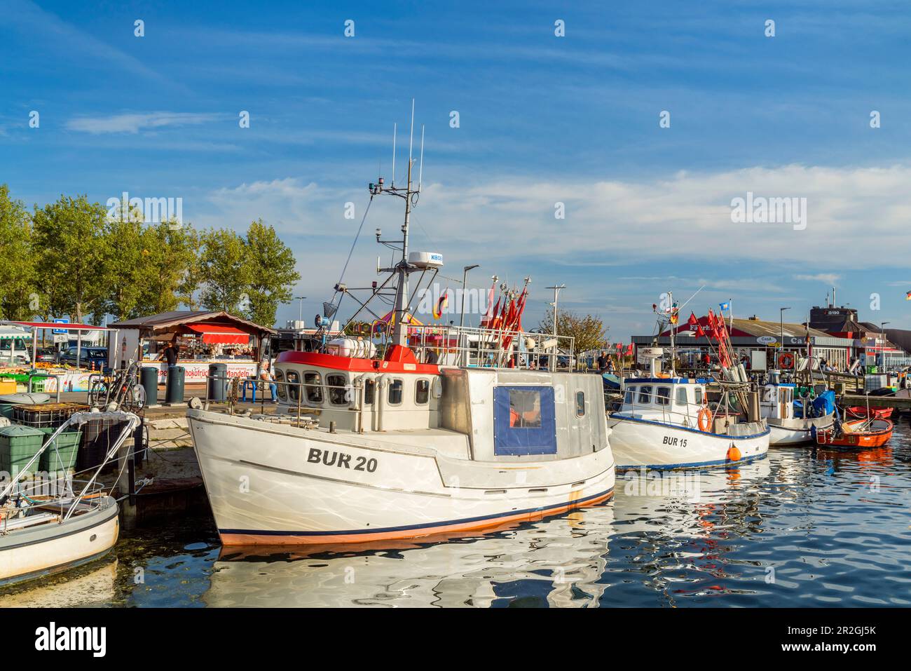 Fishing cutter in the harbour, Burgstaaken, Fehmarn Island, Schleswig-Holstein, Germany Stock Photo