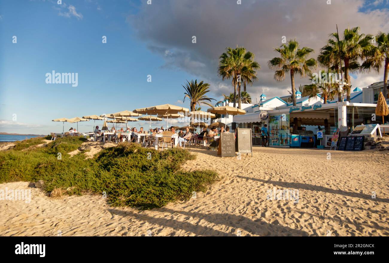 beach bar on Corralejo Beach, Fuerteventura, Canary Islands, Spain Stock Photo Alamy