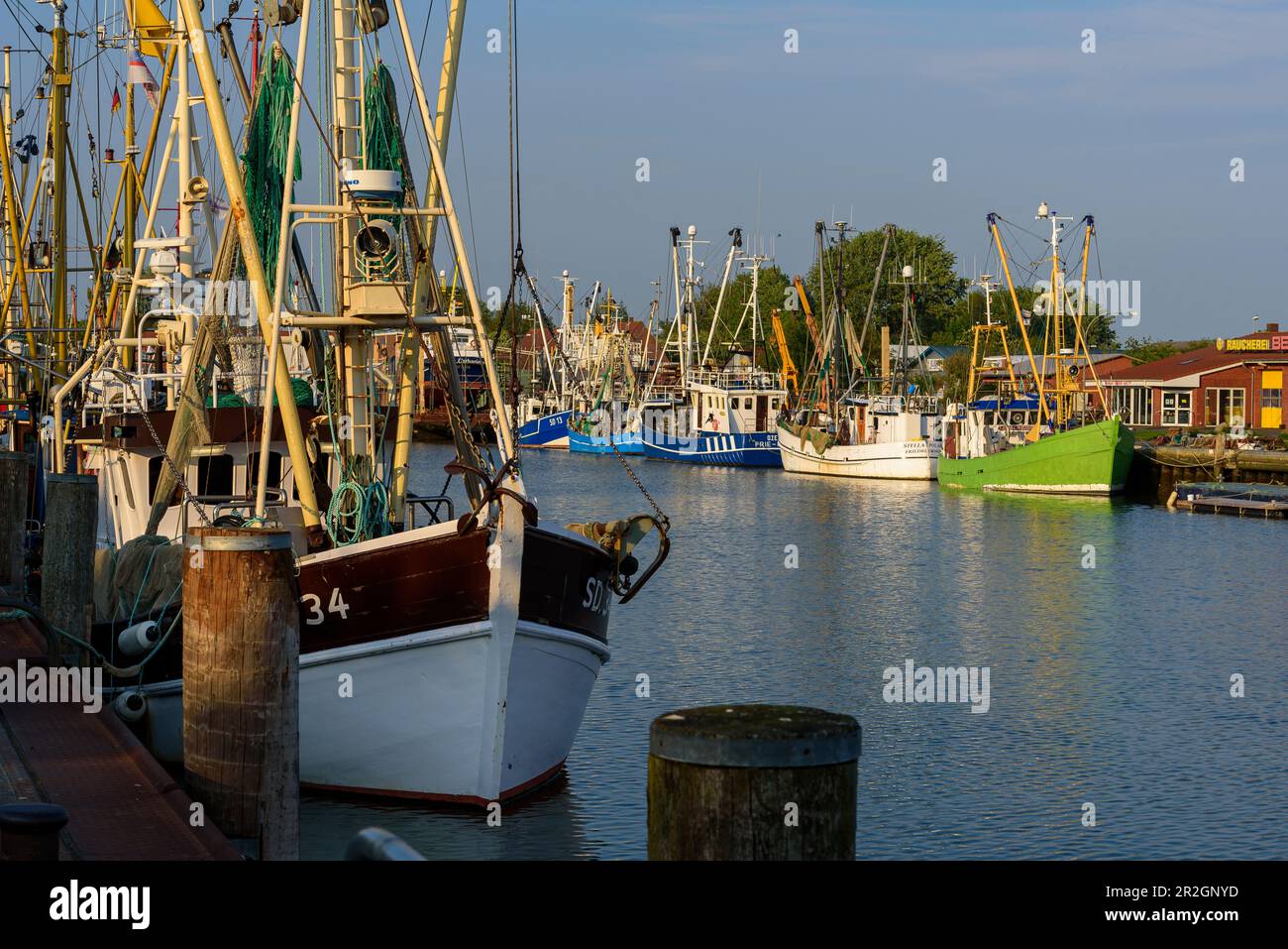 Harbor with shrimp cutters in Büsum, Büsum, Dithmarschen, North Sea Coast, Schleswig Holstein, Germany, Europe Stock Photo