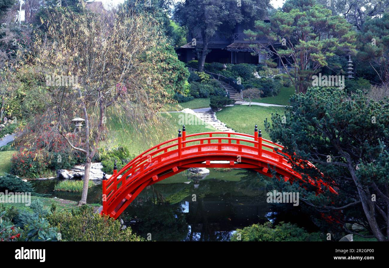 Japanese style garden with pond and red bridge Stock Photo - Alamy