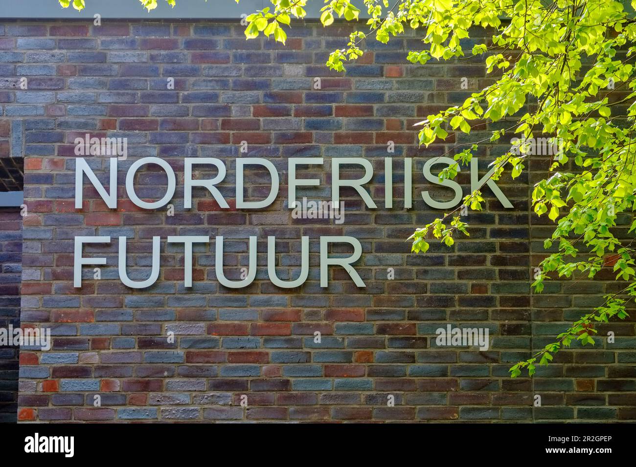 Nordfriisk Institute in Bredstedt, North Friesland, North Sea Coast, Schleswig Holstein, Germany, Europe Stock Photo