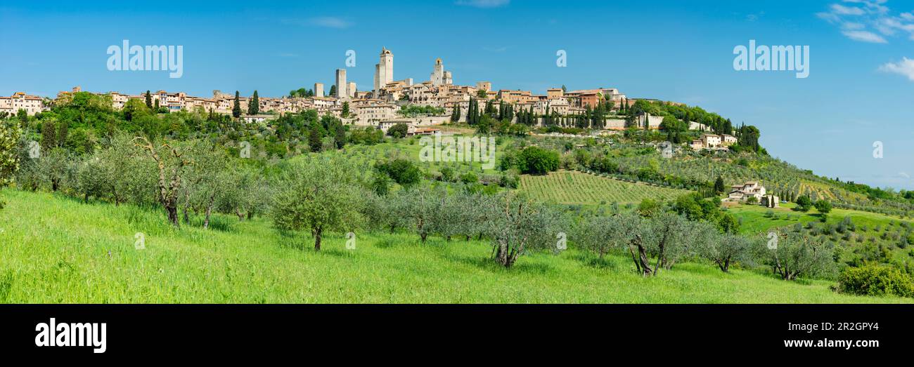 San Gimignano, Tuscany, Italy, Europe Stock Photo