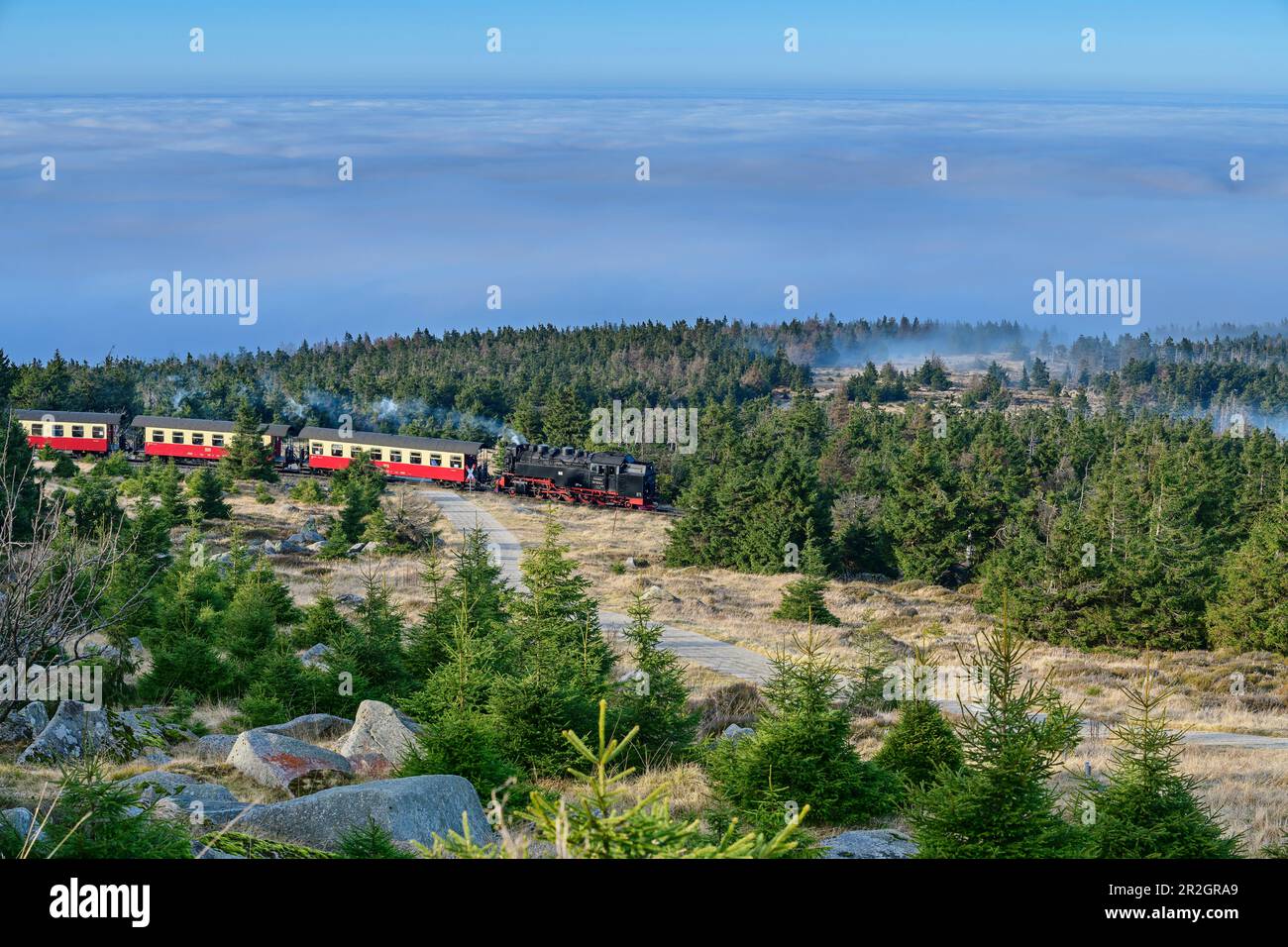 Steam train on the Brocken drives through low mountain range landscape, Brockenbahn, Harz, Harz National Park, Saxony-Anhalt, Germany Stock Photo