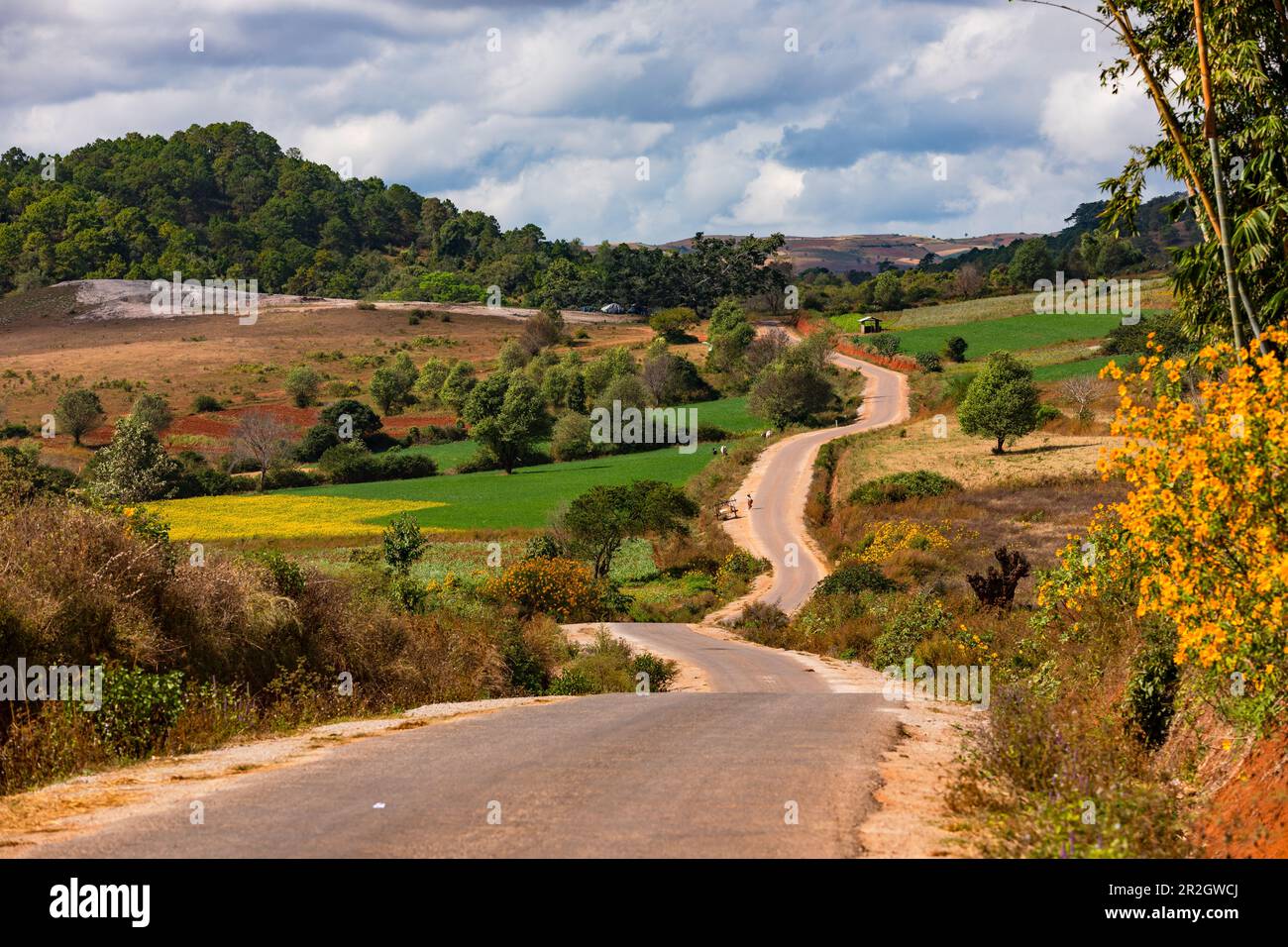 many-bright-colors-in-nature-can-be-seen-on-a-simple-country-road-in