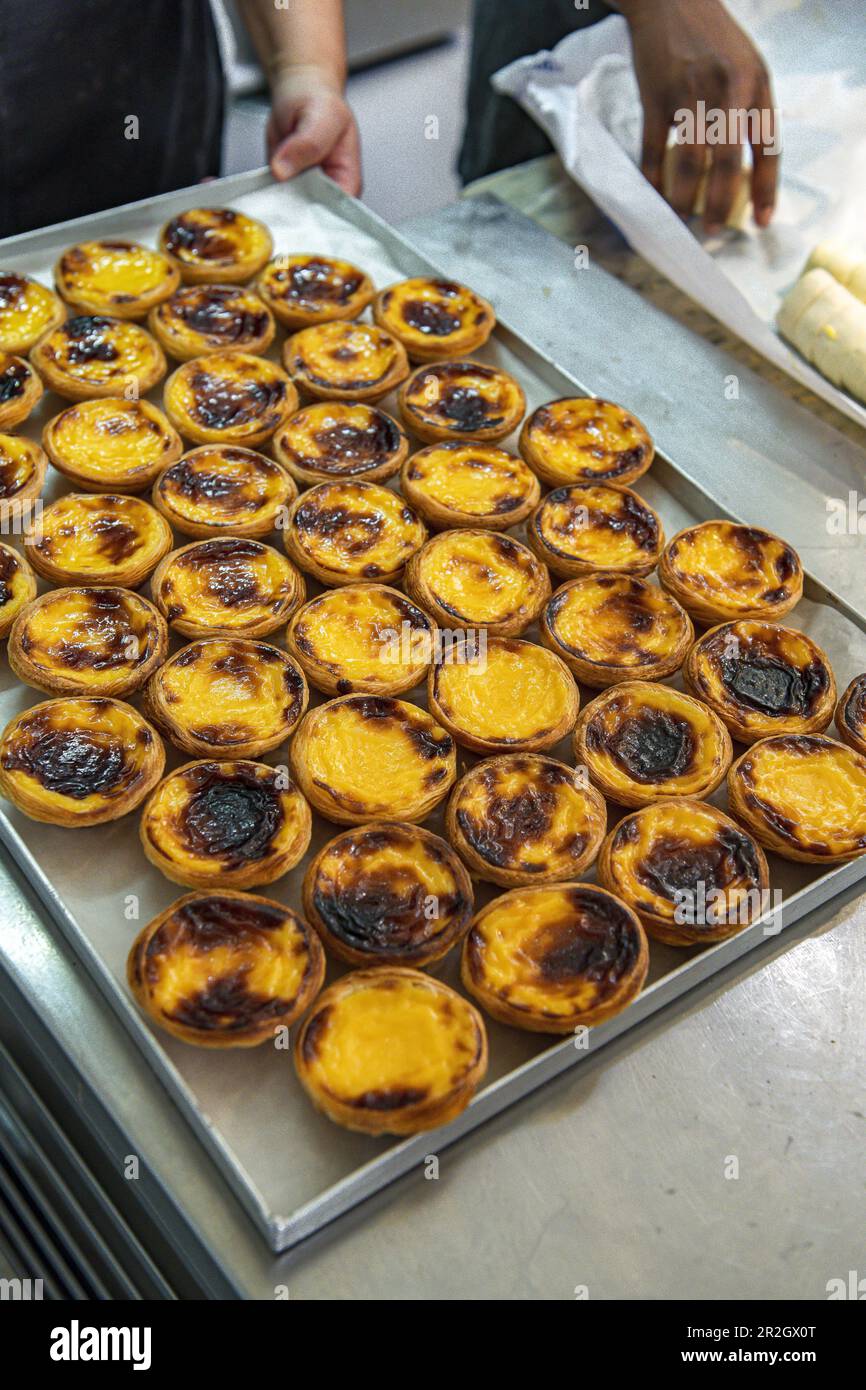 The making of Pasteis de Nata, Portuguese egg custard tarts Stock Photo