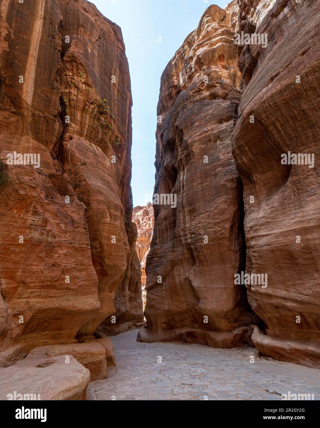 Petra jordan perspective hi-res stock photography and images - Alamy