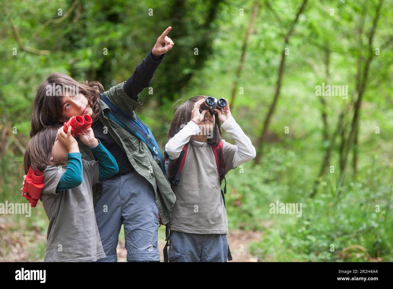 Three brothers, equipped with binoculars, are exploring the forest together. The older brother is guiding and assisting the two younger ones in their Stock Photo