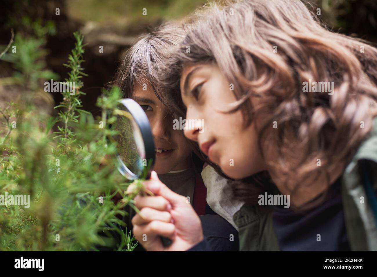 Two children engage in a focused exploration as they use a magnifying ...