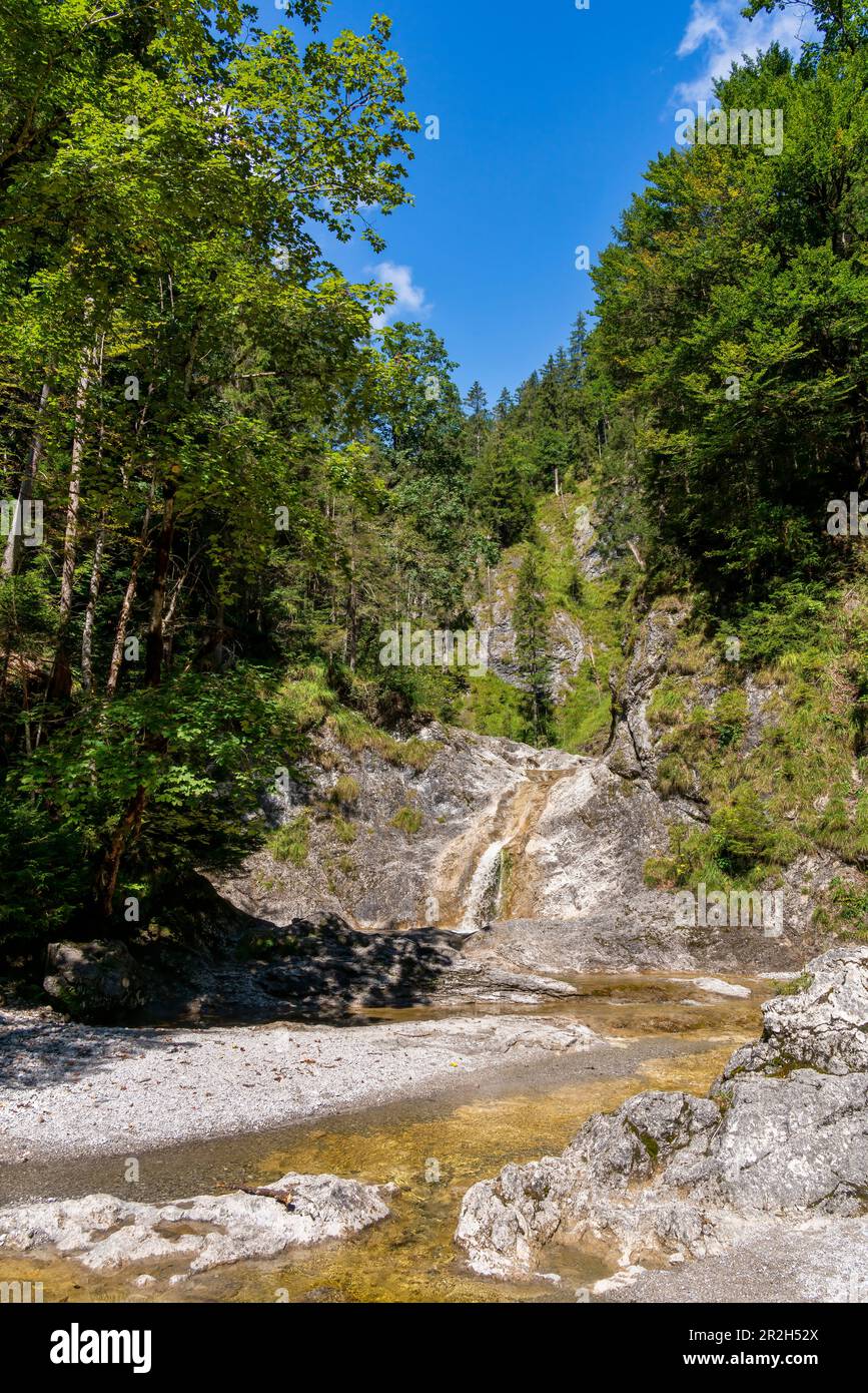 Small idyllic waterfall near Vorderriss, Isarwinkel, Upper Bavaria, Bavaria, Germany Stock Photo
