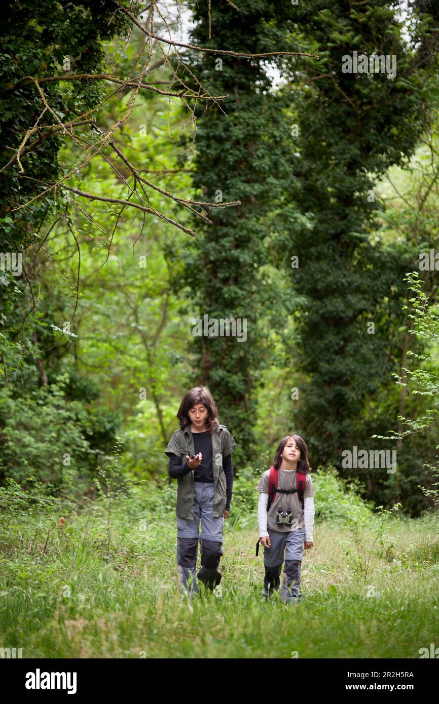 Two siblings stride confidently through the heart of the forest, embracing the spirit of adventure as they explore the wonders of nature. Stock Photo